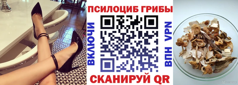 Псилоцибиновые грибы Psilocybe  Купить  Знаменск 